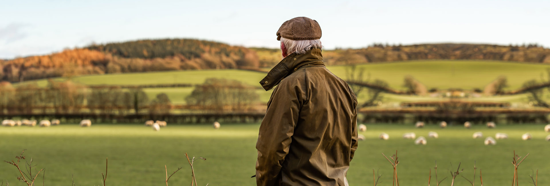 Estate Agents Leamington Spa Letting Agents Leamington Spa