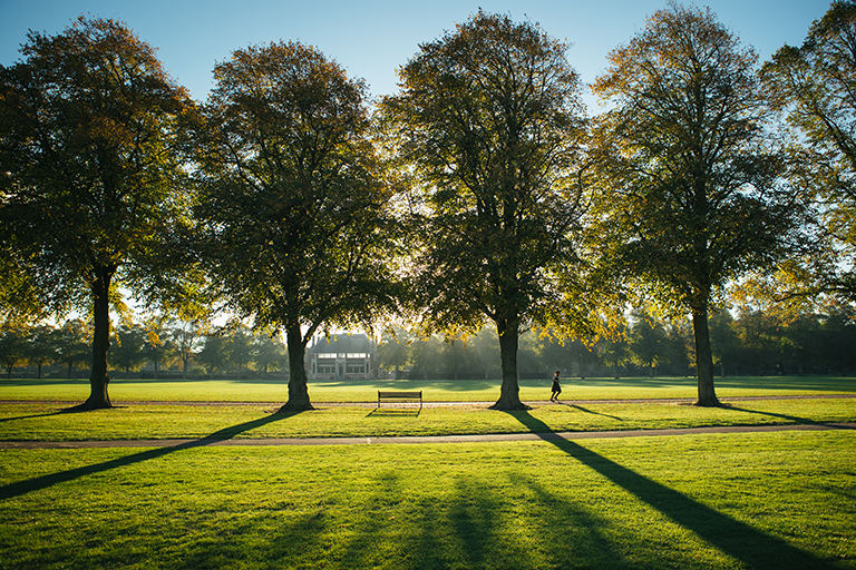 Park at Autumn time in United Kingdom